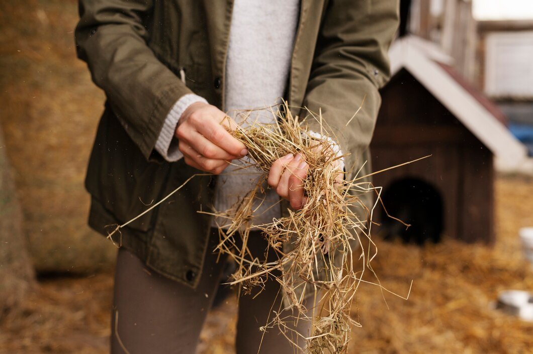 Data-Driven Farming